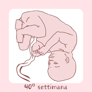 40° Settimana di gravidanza